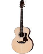 Taylor Legacy 815e